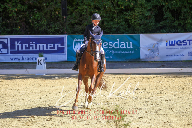 DKP41761 | Turniersportfotografie; Pferdefotografie; Dressurfotografie