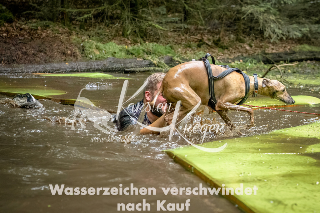 1445_ZZ93684-Bearbeitet | kk-dogfotos