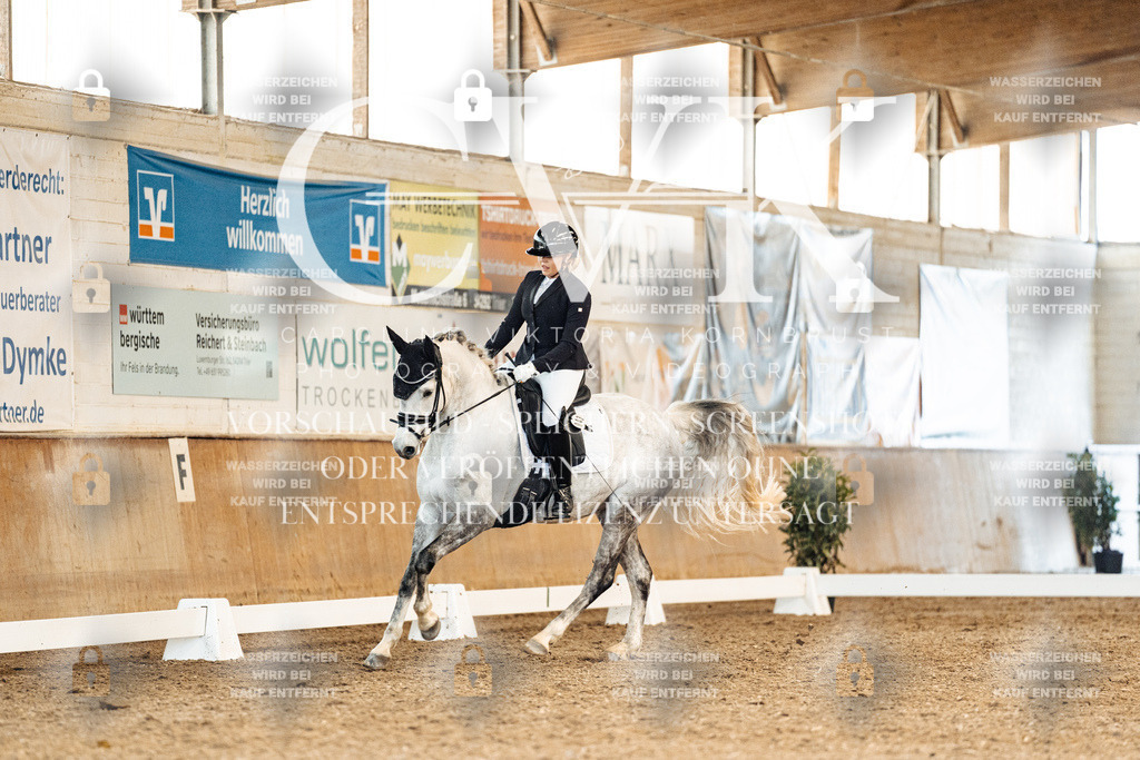 CK909626 | Turnierfotografie Pferdefotografie Trier Rheinland-Pfalz Pferdesport Reitsport Tierfotografie Sportfotografie Pferdevideo Pferdevideografie Equestrianvideography equestrianphotography  - Realisiert mit Pictrs.com
