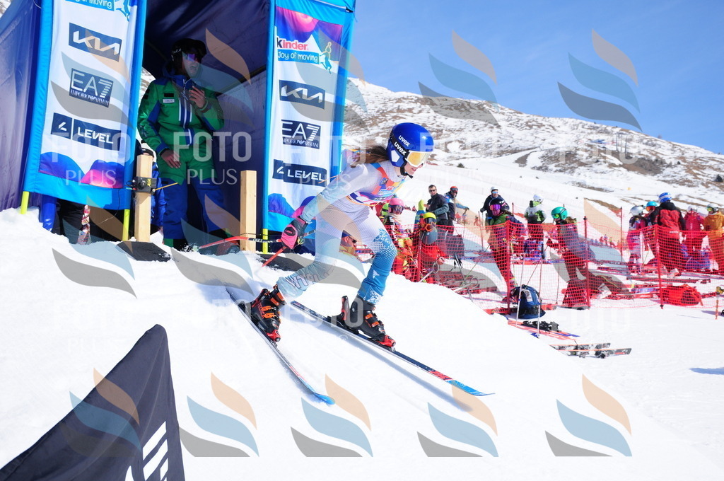 DSC_4430 | holidayphoto