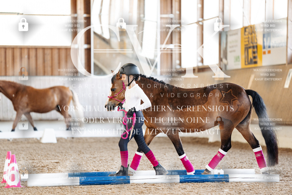 CK905504 | Turnierfotografie Pferdefotografie Trier Rheinland-Pfalz Pferdesport Reitsport Tierfotografie Sportfotografie Pferdevideo Pferdevideografie Equestrianvideography equestrianphotography  - Realisiert mit Pictrs.com