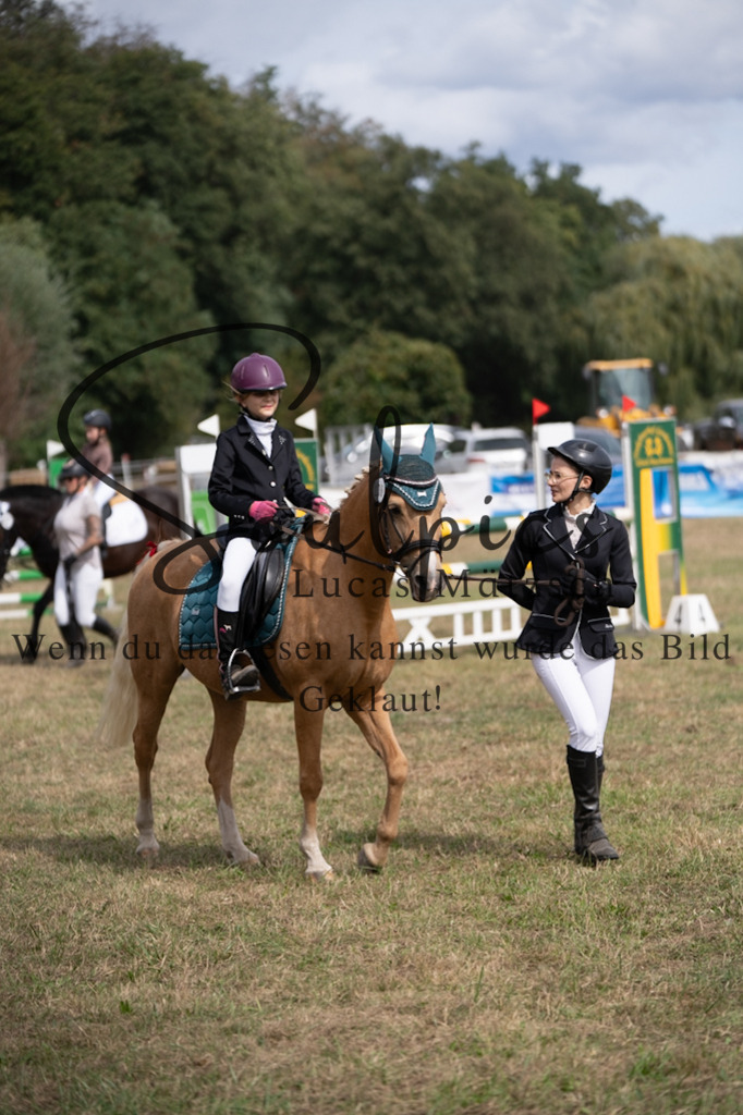 A7V08880 | Pferdefotograf