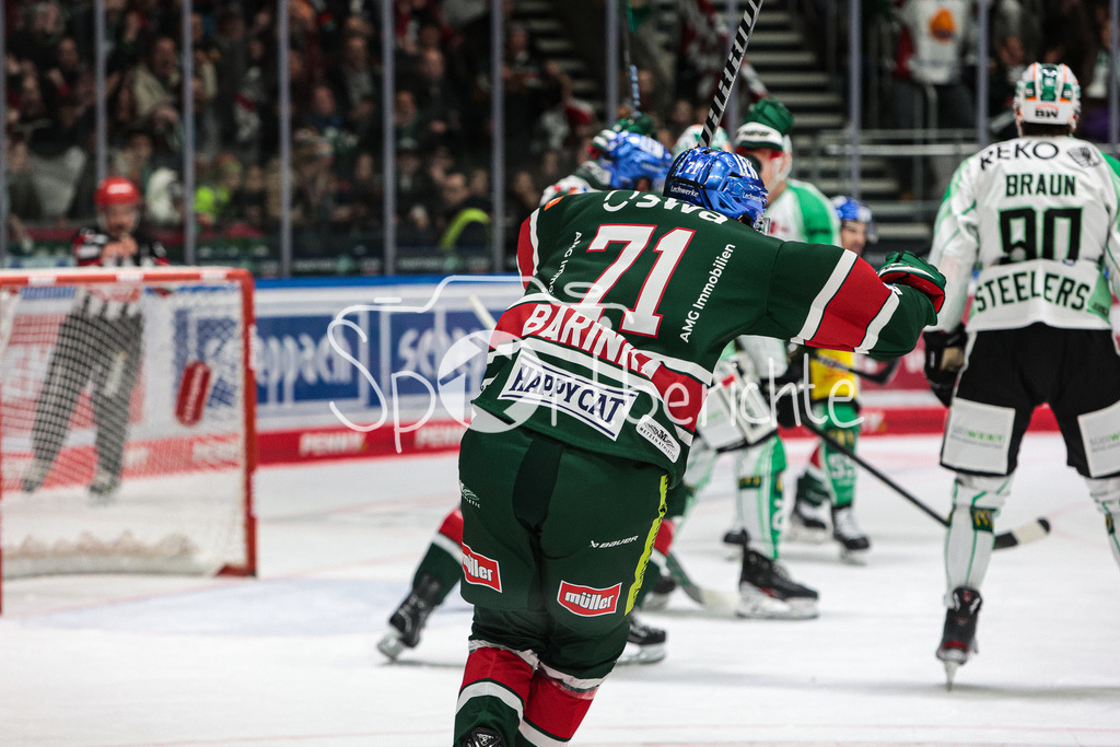 Augsburger Panther - Bietigheim Steelers | Grenzenloser Jubel der Panther nach dem Treffer zum 2-1 durch Adam PAYERL (AEV #11)