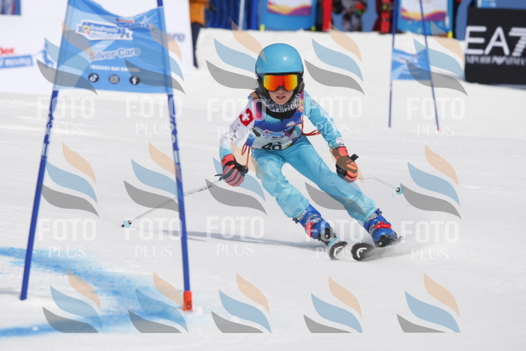 _W1G0671 | holidayphoto