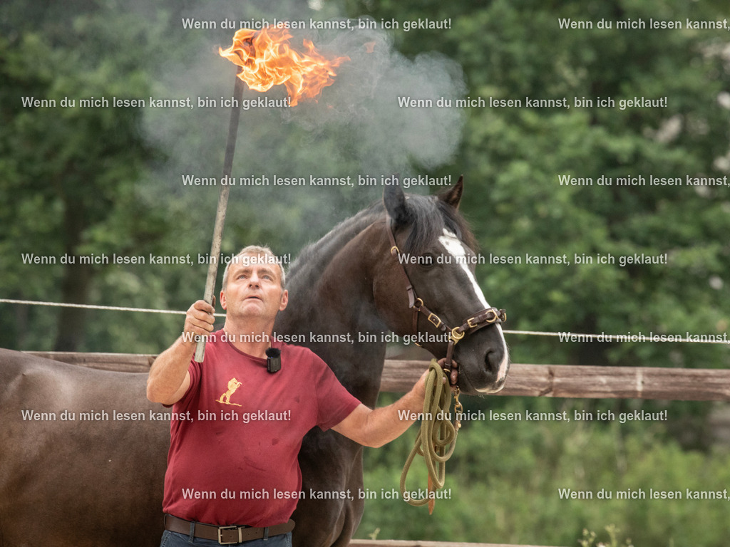 598A7516 | photographylinaismer - Realisiert mit Pictrs.com
