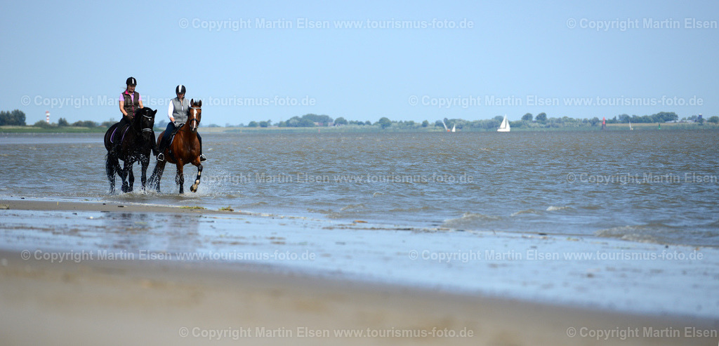 Abbenfleth Pferde_ELS_1145 | Fotos aus den Touristenorten aus Norddeutschland. - Realisiert mit Pictrs.com