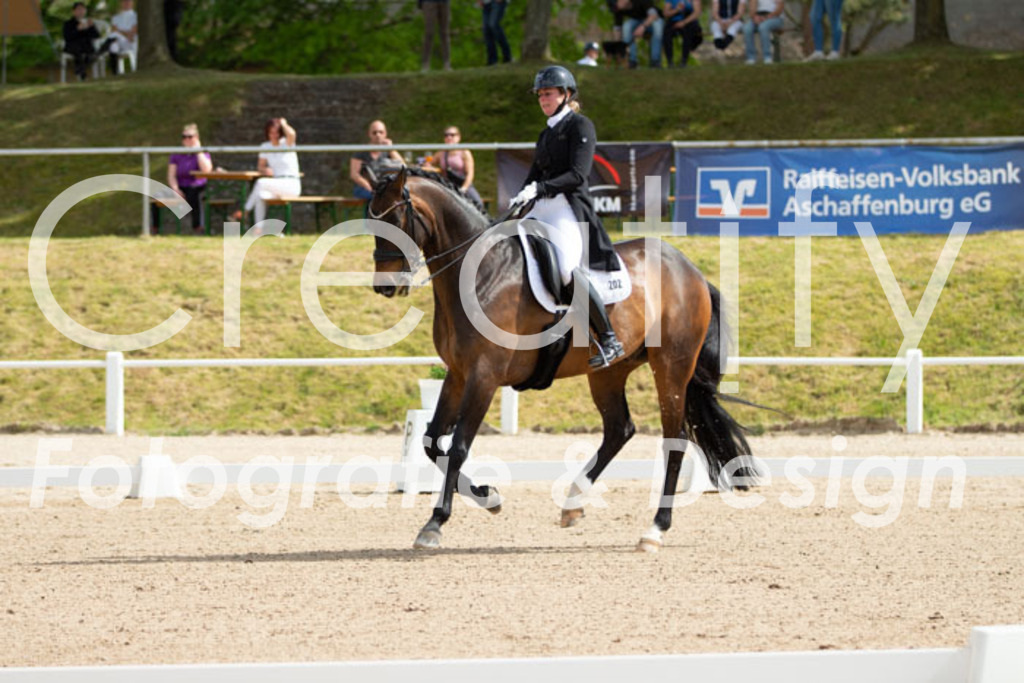 IMG_7125 | Creatify Fotografie