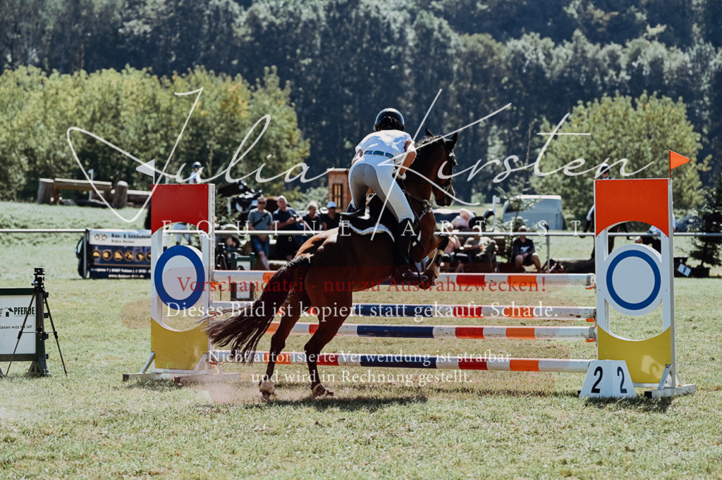 DSC_6169 | Pferde- und Turnierfotografie in Westsachsen. Pferdeportraits, Auftragszeichnungen und intuitive Kunst.