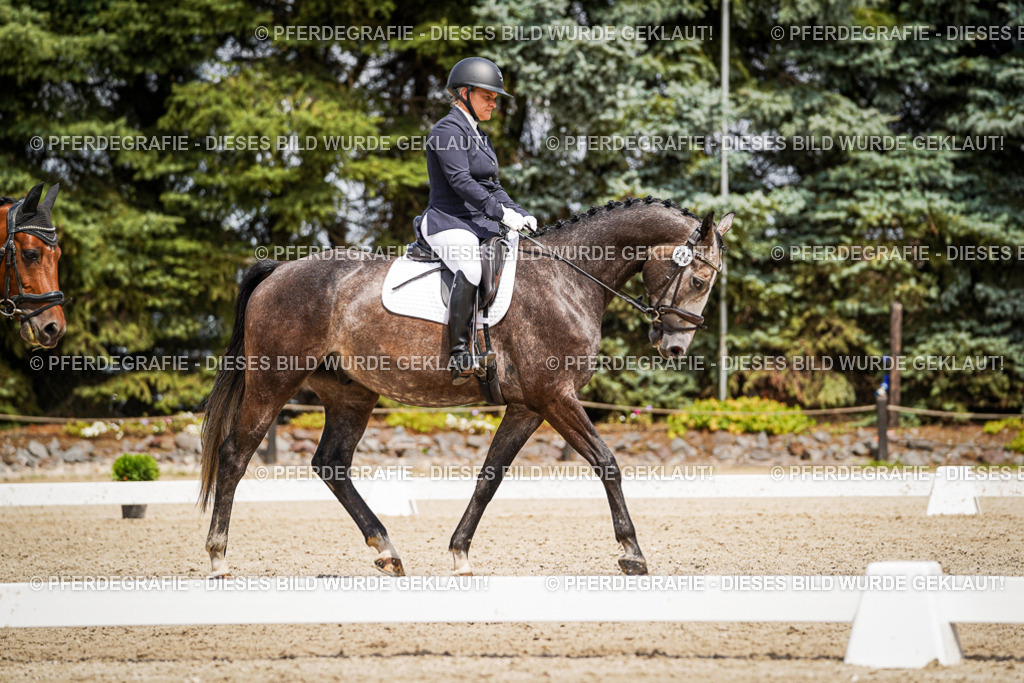 DSC03231 | Pferdegrafie