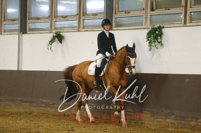 IMG_8460 | Turniersportfotografie; Pferdefotografie; Dressurfotografie