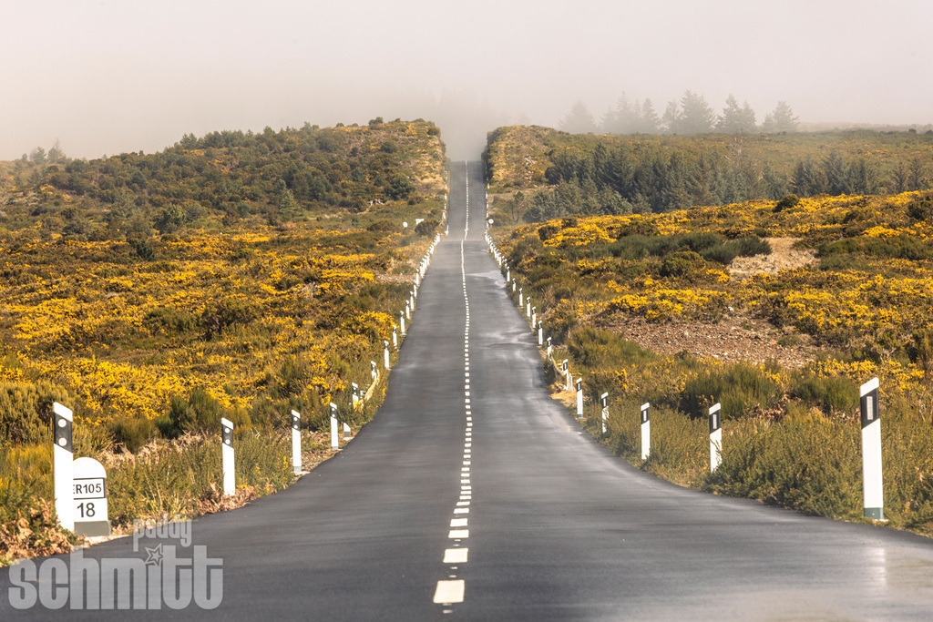 PS-Madeira-2026-11 | Entdecke die größte Bildgalerie der Region mit Fotografien aus dem Allgäu, der Bodenseeregion, Oberschwaben, dem Donautal und der Schwäbischen Alb. Landschaften, Luftaufnahmen und Reisefotografie als Wandbild und Fotokunst. - Realisiert mit Pictrs.com
