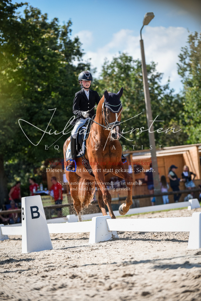 DSC_9528 | Pferde- und Turnierfotografie in Westsachsen. Pferdeportraits, Auftragszeichnungen und intuitive Kunst.
