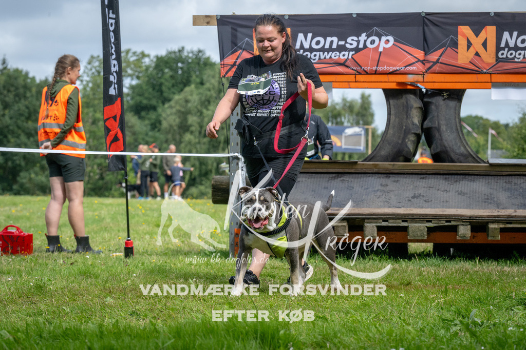 1137_ZZ92830 | kk-dogfotos