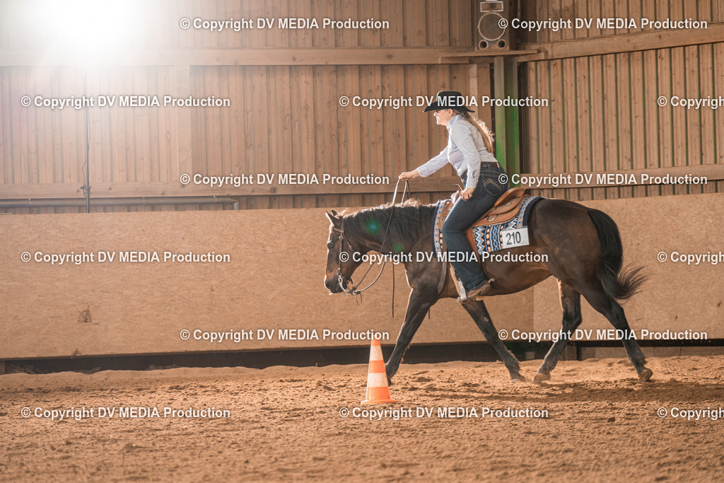 BAL00626 | dv-media-shop - Realisiert mit Pictrs.com