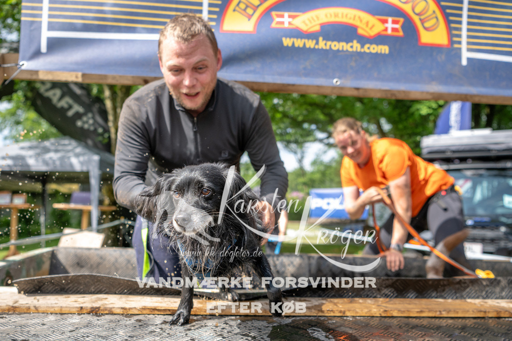 1002_ZZ93752 | kk-dogfotos