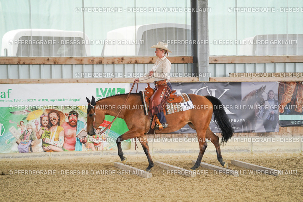 DSC03061 | Pferdegrafie