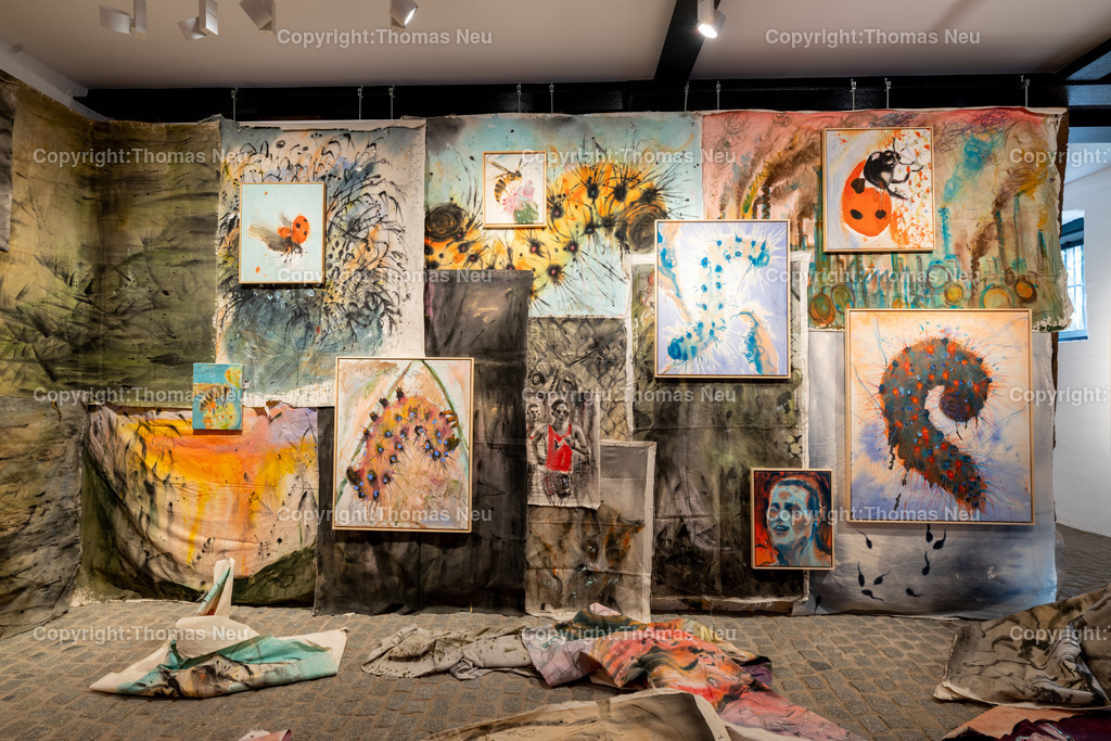 DSC_6064 | Bensheim, Museum der Stadt, Ausstellung „The last Party of Diversity“ im Museum Bensheim zeigt Werke des Künstlers Andrej Dúbravský, Bild: Thomas Neu