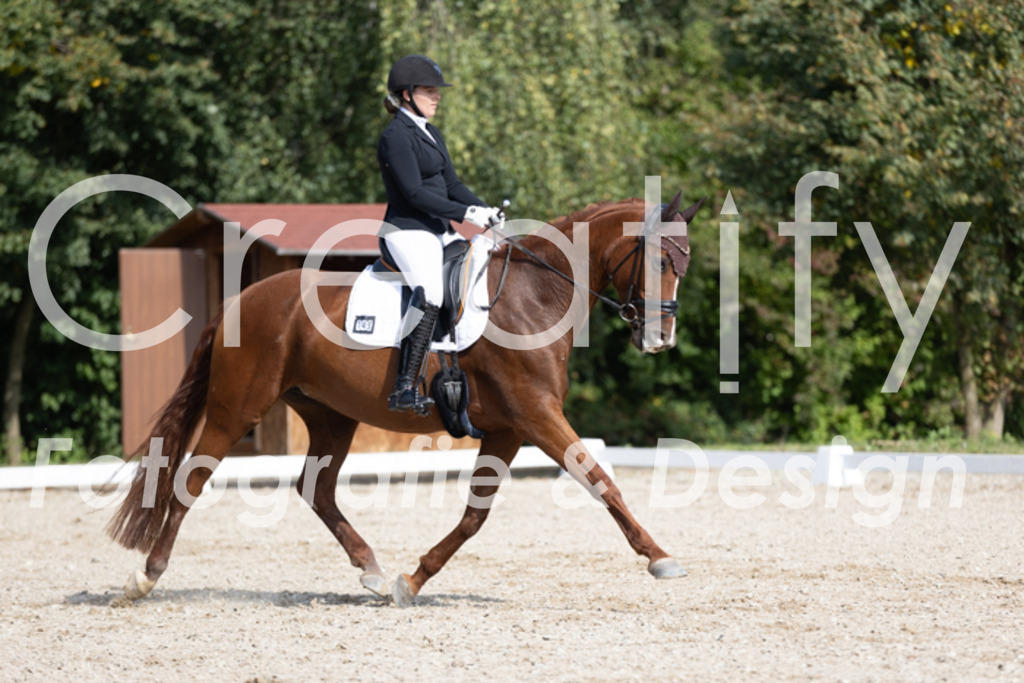 IMG_3408 | Creatify Fotografie