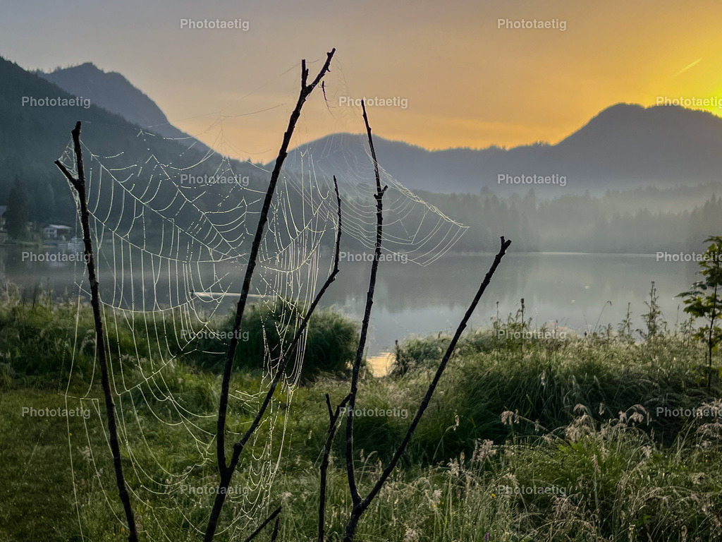 IMG_0275 | phototaetig