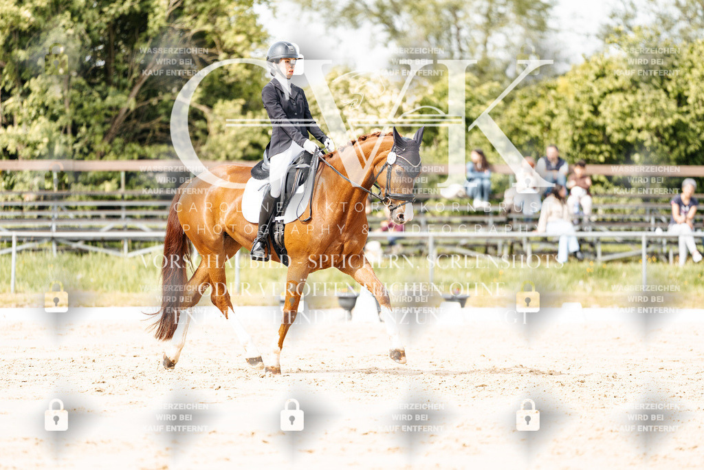 CK901100 | Turnierfotografie Pferdefotografie Trier Rheinland-Pfalz Pferdesport Reitsport Tierfotografie Sportfotografie Pferdevideo Pferdevideografie Equestrianvideography equestrianphotography  - Realisiert mit Pictrs.com