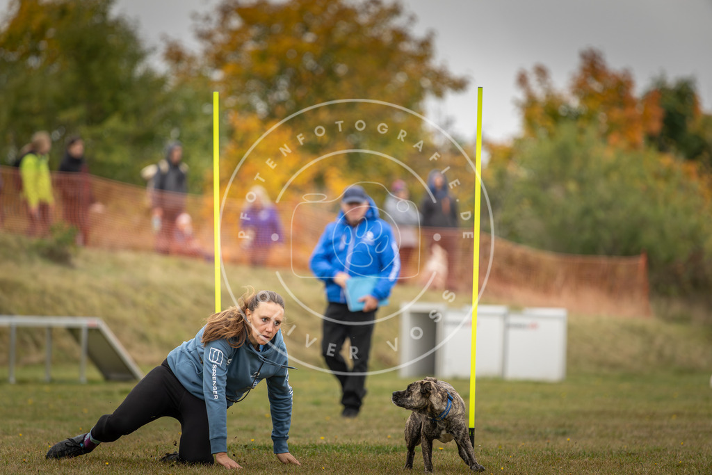 Pfotenfotografie_DV3A3488 | Hundefotografie, Tierfotograf, Pfotenfotografie, Fotoshooting Hund, Hunde Portrait, Hundesport, Hundeportraits, Heideshooting, Hunde, Sportfotograf, Hundefotograf, Turnierhundsport, THS,  - Realisiert mit Pictrs.com