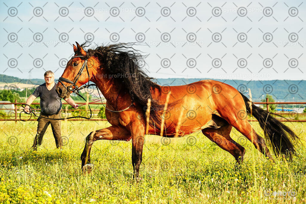 334_202406_Niki-Herodes_NZ9_0308 | proPHOTO - Realisiert mit Pictrs.com