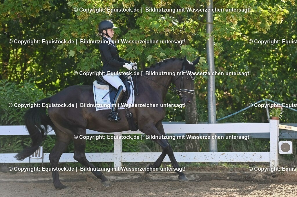20230716_04_Dressurreiterprüfung Kl.A_0015 | equistock