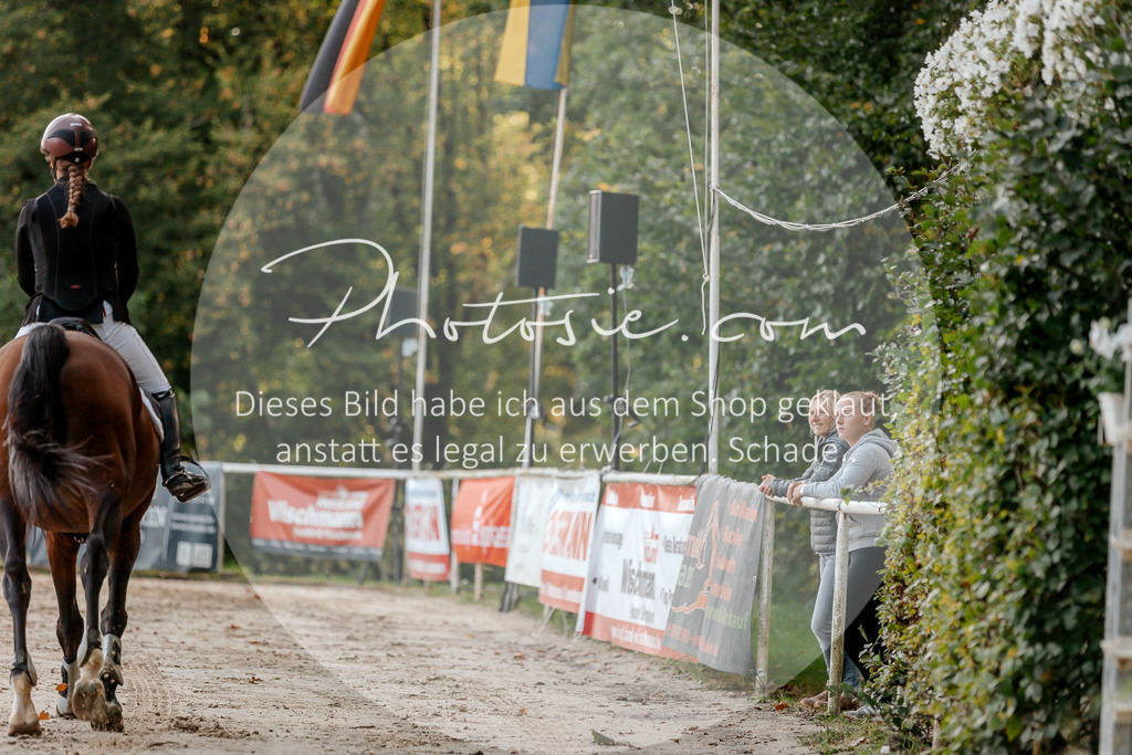 3I6A1815 | Stimmungsvolle Portraits und Reitsportfotografie im Ruhrgebiet und im Münsterland.

Pferdefotografie, Hundefotografie, Tierfotografie, Reportagen, Portraits von Tier und Mensch, Turnierfotografie in Bochum, Recklinghausen, Marl, Haltern am See, Dülmen.. - Realisiert mit Pictrs.com