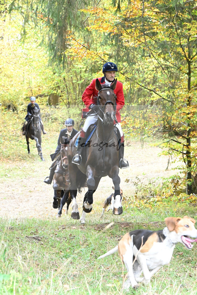 5622623 | hf-fotografie - Realisiert mit Pictrs.com