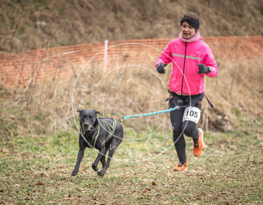 Pfotenfotografie_DV3A7466 | Hundefotografie, Tierfotograf, Pfotenfotografie, Fotoshooting Hund, Hunde Portrait, Hundesport, Hundeportraits, Heideshooting, Hunde, Sportfotograf, Hundefotograf, Turnierhundsport, THS,  - Realisiert mit Pictrs.com