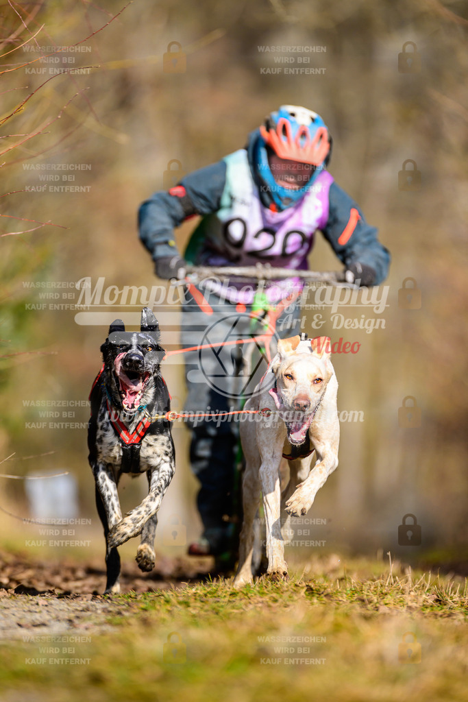 MompixPhotography_Schwabentrail2025_SO_DS2-30 | PayLife