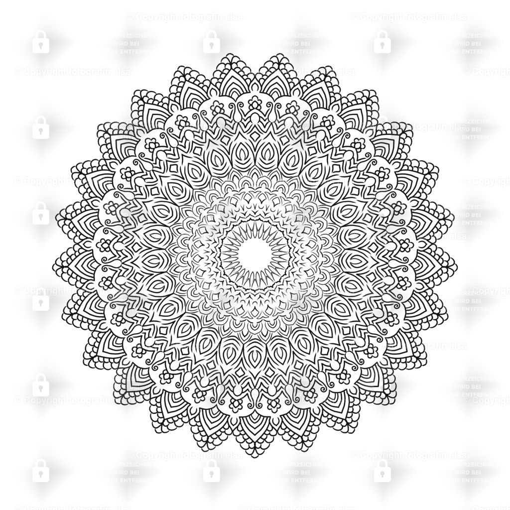 66Seite | fotografinelsa