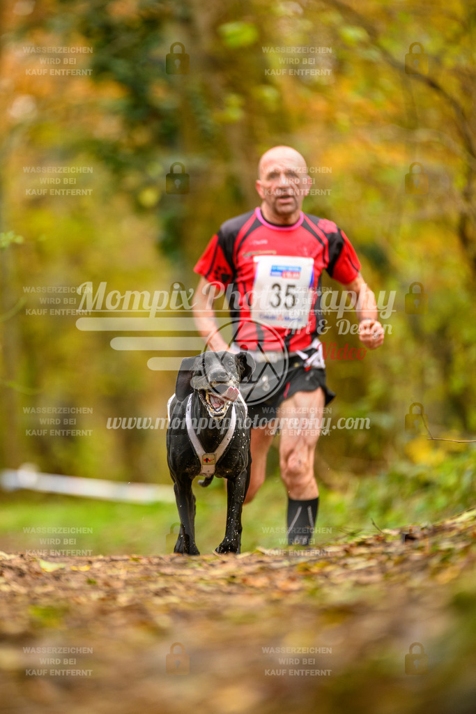 MompixPhotography_Bischwiller24_SA_Canicross-2 | PayLife