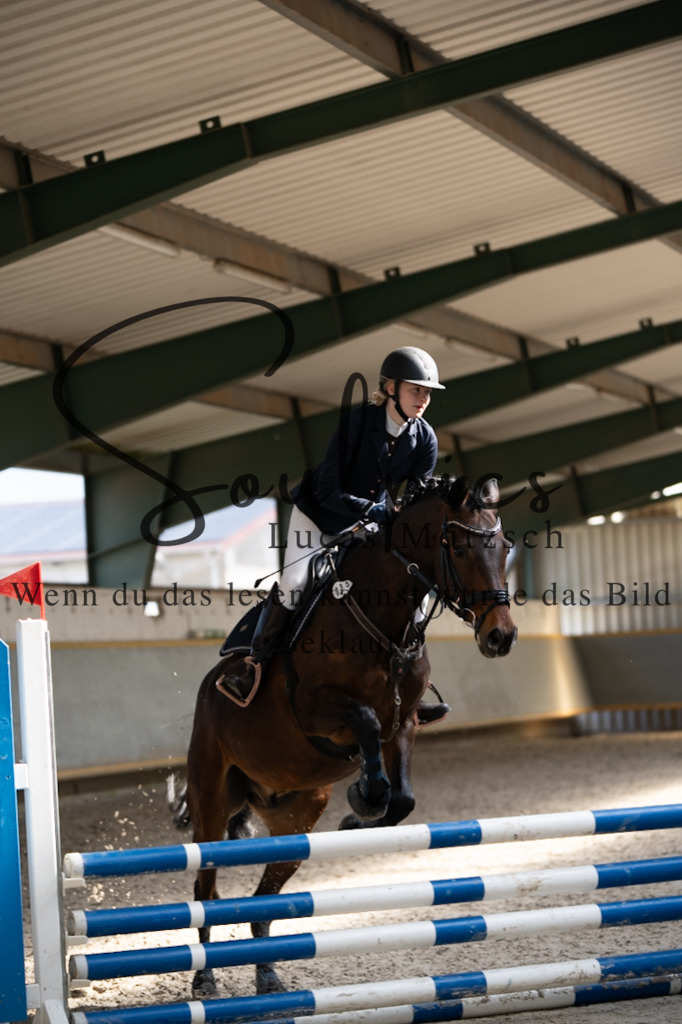 A7V06677 | Pferdefotograf