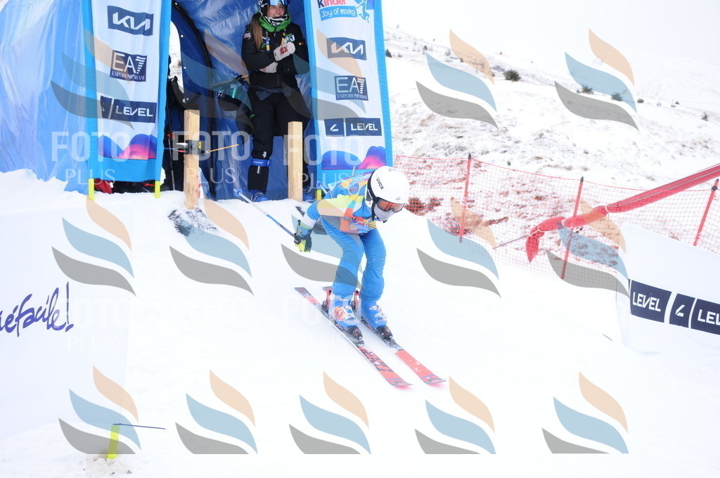 DSC_8734 | holidayphoto