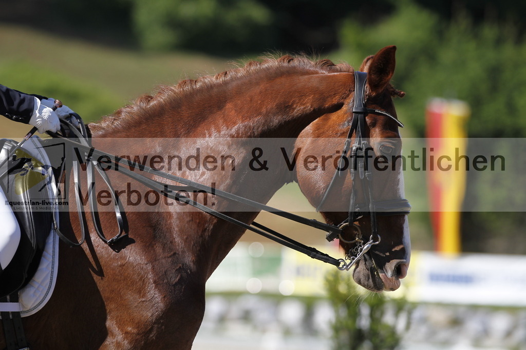 _MG_2885 | equestrian-live-com