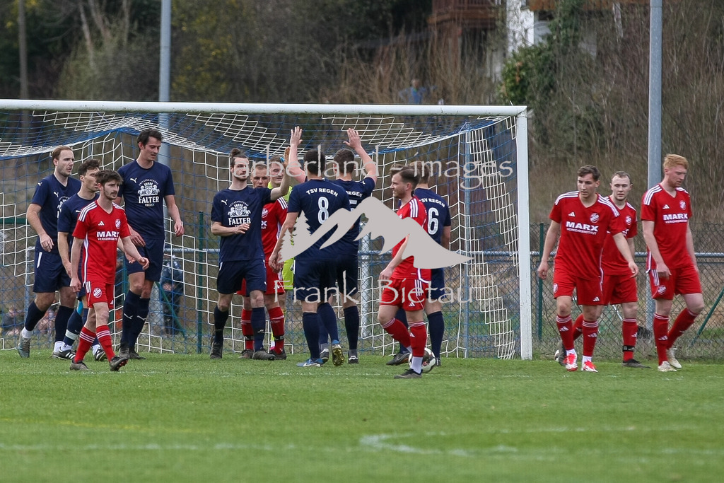 993T3436 | 2:0 Regen