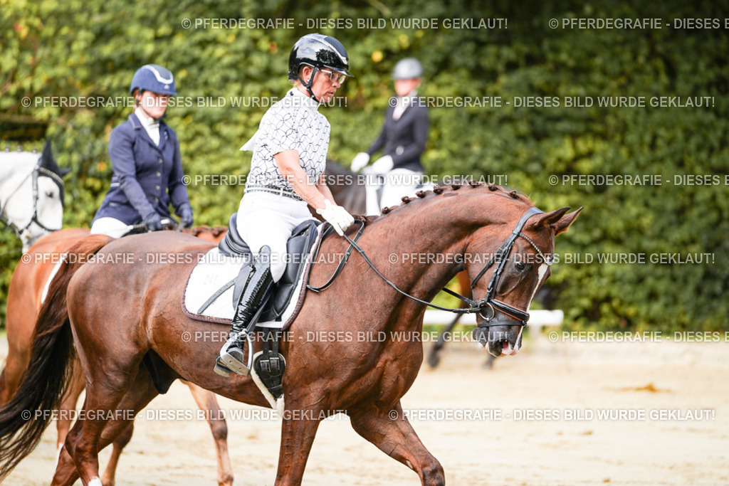 DSC01435 | Pferdegrafie