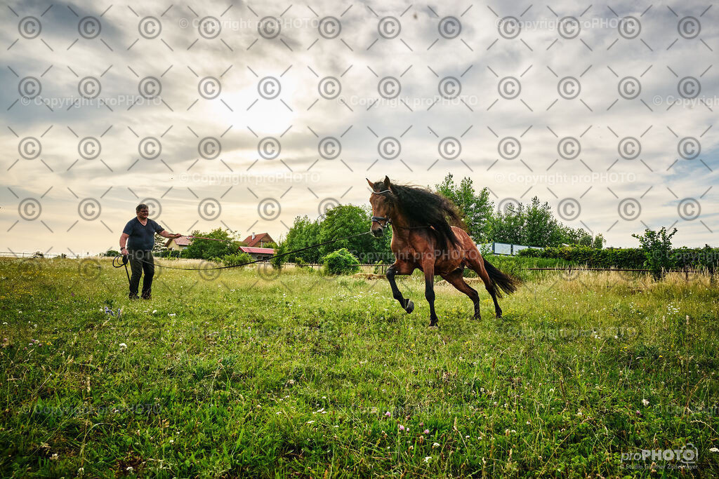 075_202406_Niki-Herodes_NZ9_9787 | proPHOTO - Realisiert mit Pictrs.com