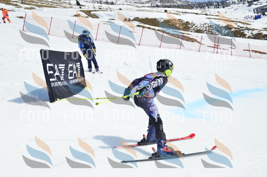 _ELE1765 | holidayphoto