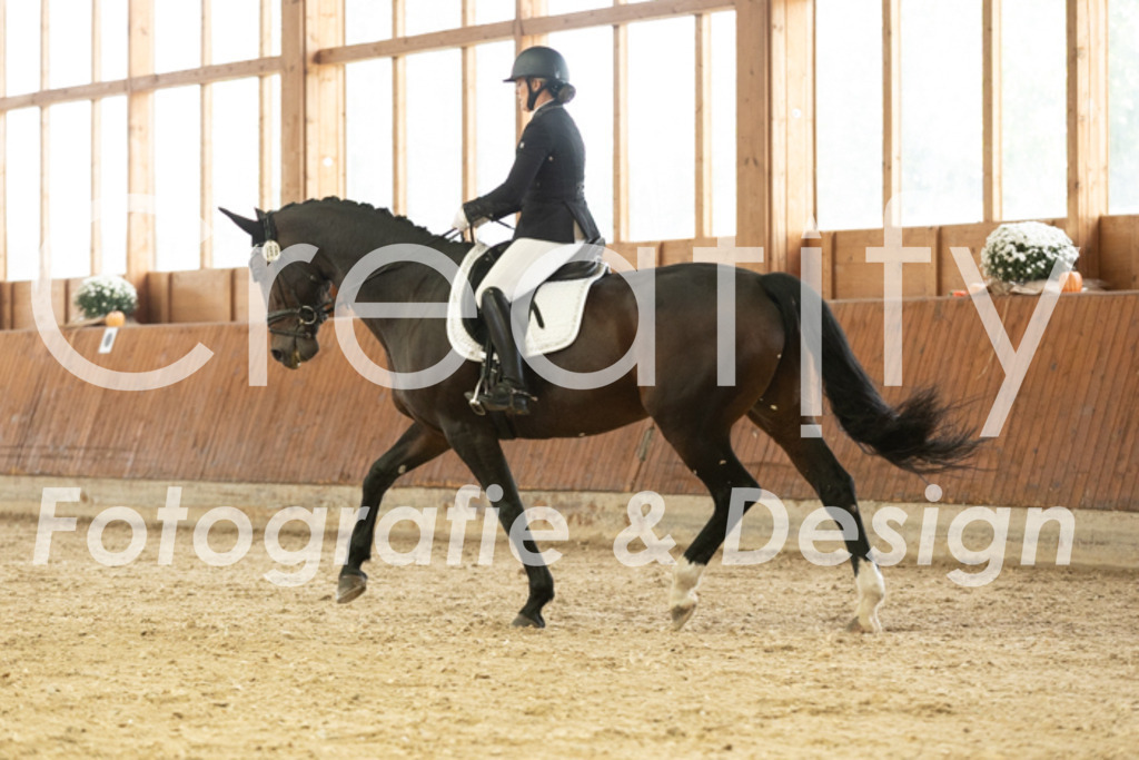 IMG_2693 | Creatify Fotografie