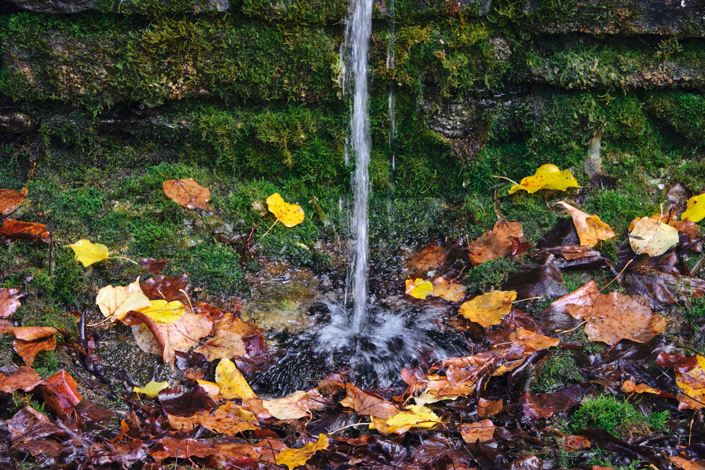 Wasserstrahl auf bunte Herbstblätter und Moos | Engelmannsbrunn, Austria - October 02, 2025: Wasserstrahl auf bunte Herbstblätter und Moos. - Realisiert mit Pictrs.com