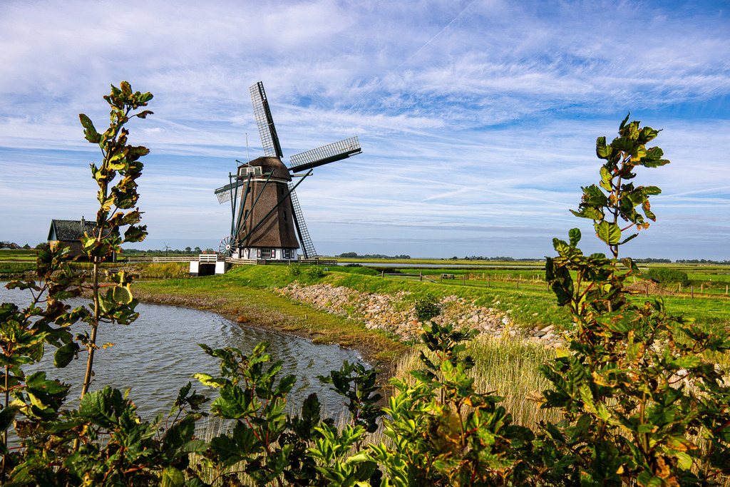 Mühle Het Noorden im Polder auf Texel hinter begrüntem Uferbereich | Ein weiter Blick über die Polderlandschaft auf der Nordseeinsel Texel offenbart die reetgedeckte Windmühle „Het Noorden“. Die historische Entwässerungsmühle steht malerisch hinter einem Wasserlauf, umrahmt von grünen Sträuchern im Vordergrund und unter einem sanft bewölkten Sommerhimmel. Die weite Kulturlandschaft eignet sich ideal für redaktionelle Berichte über Inseltourismus, Mühlenbau, niederländischen Wasserbau, Radreisen und Urlaub in Holland. - Realisiert mit Pictrs.com