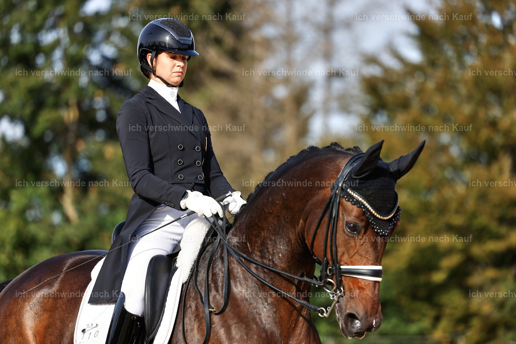 13-110-S___ -StoibPH-6933 | working equitationturnier fotograf videograf stoibphotography marixx film working equitation deutschland reitsport turnierfotografie eventfotografie equestrian events