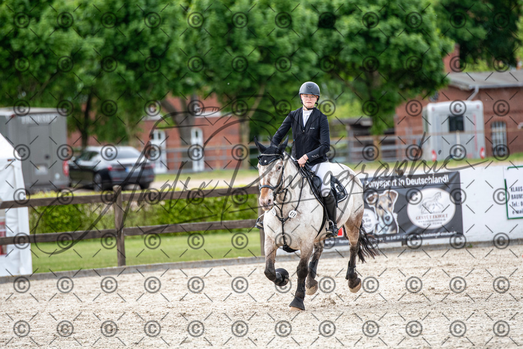 KPT_6904 | andre_photographic