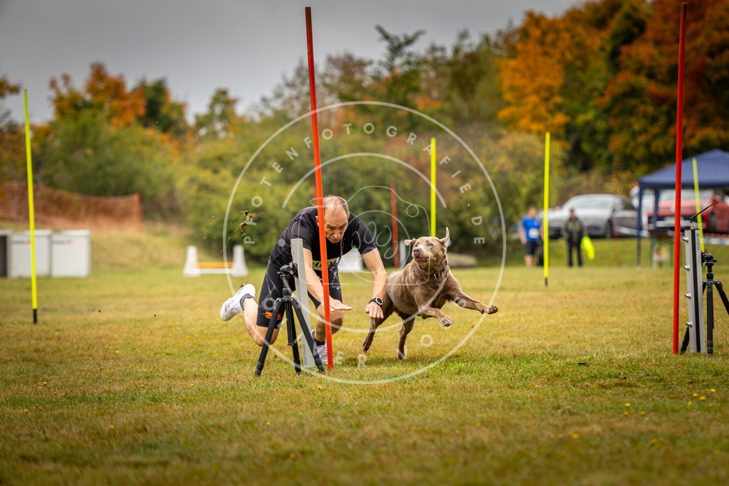 Pfotenfotografie_DV3A2323 | Hundefotografie, Tierfotograf, Pfotenfotografie, Fotoshooting Hund, Hunde Portrait, Hundesport, Hundeportraits, Heideshooting, Hunde, Sportfotograf, Hundefotograf, Turnierhundsport, THS,  - Realisiert mit Pictrs.com