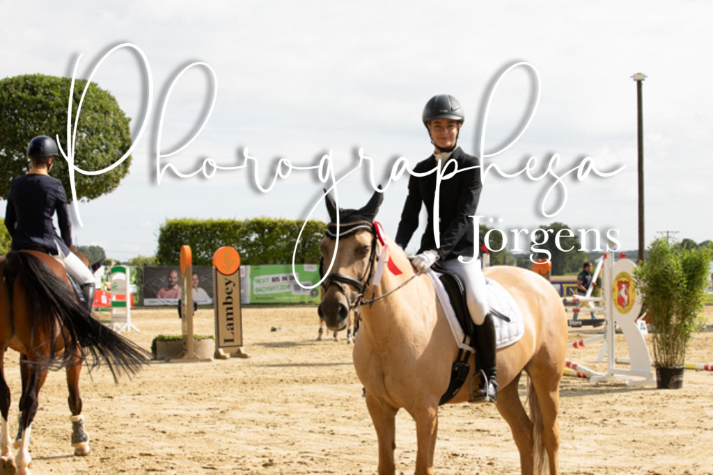 IMG_6656 | photographesa-joergens - Realisiert mit Pictrs.com