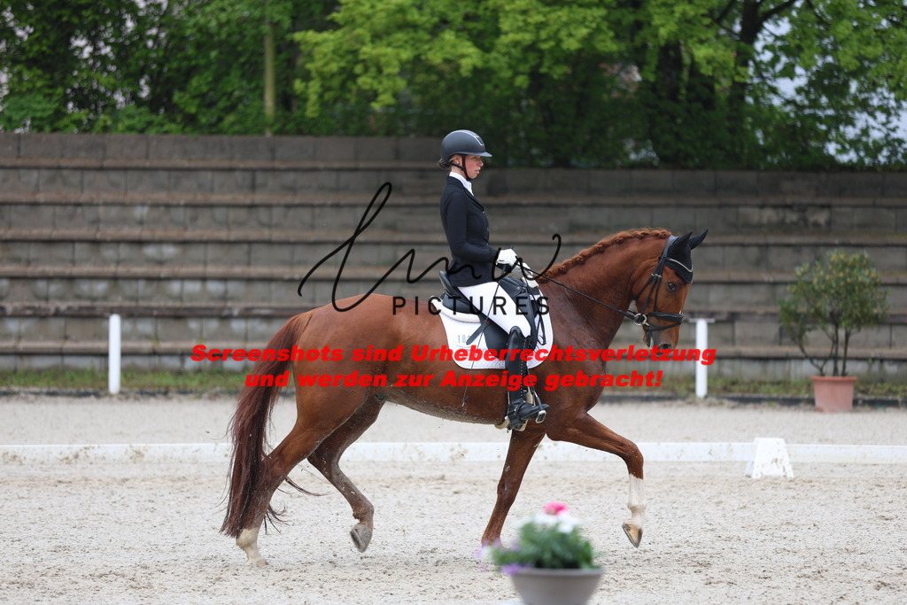 A40A8265 | lmwpictures - Realisiert mit Pictrs.com