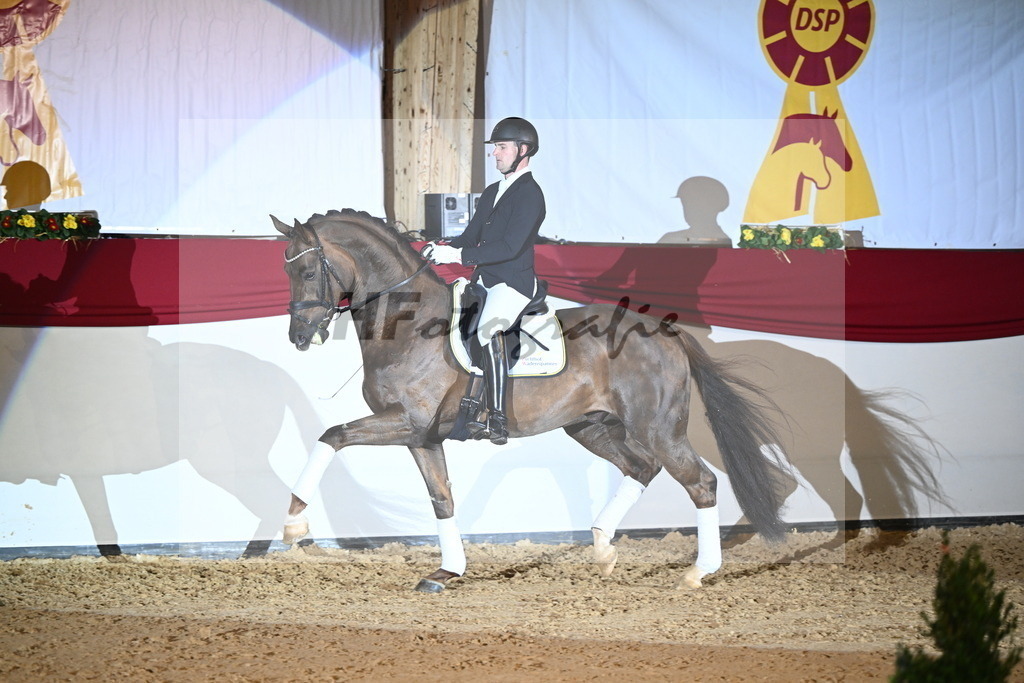 Feliciano_2242141 | hf-fotografie - Realisiert mit Pictrs.com