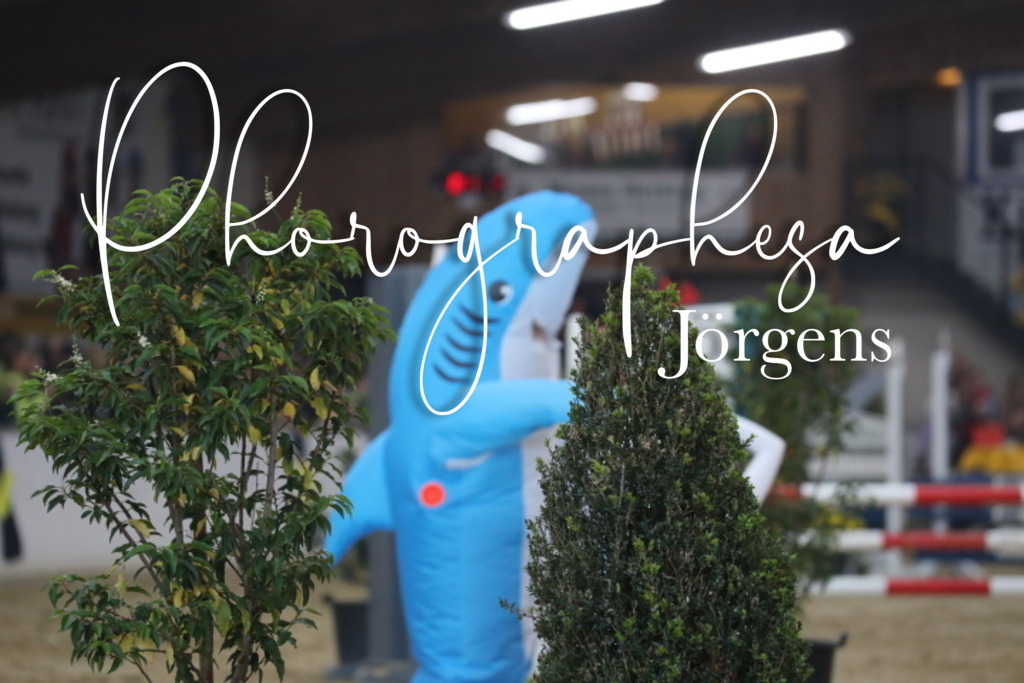 IMG_1887 | photographesa-joergens - Realisiert mit Pictrs.com